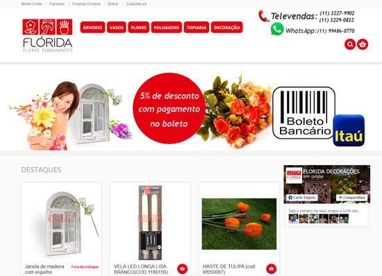 FLÓRIDA FLORES PERMANENTE